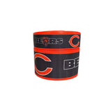 Chicago Bears Football Grosgrain Ribbon, Hair Bow Craft Supply